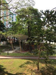 Blk 251 Tampines Street 21 (Tampines), HDB 4 Rooms #168029822